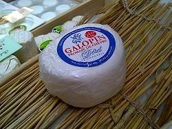 Galopin (chèvre)