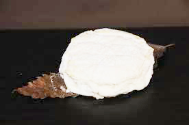 Chevrotin de Souvigny (chèvre)