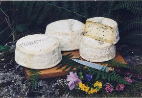 Bleu de Bourbon (pâte persillée).